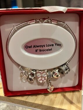 Owl Always Love You Silver Charm Bracelet with Pink Owl Accent New